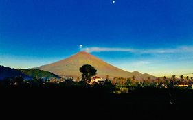 D'Uma Amed Homestay